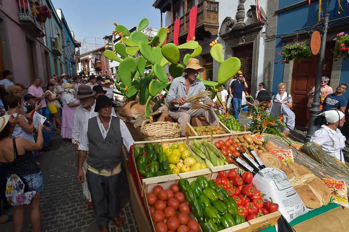 Carretas y grupos en la romería del Pino