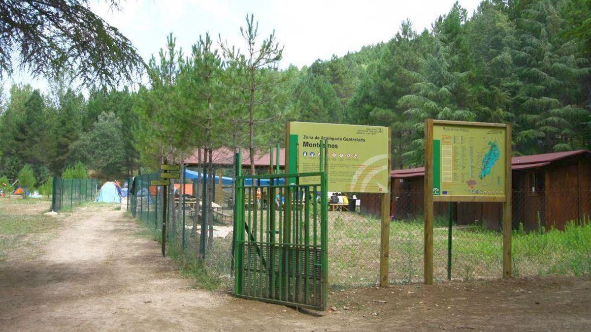 Campamento de verano, ofertado para el IAJ para este año.