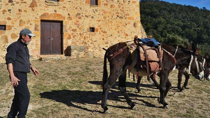 Els rucs contribueixen a la conservació forestal