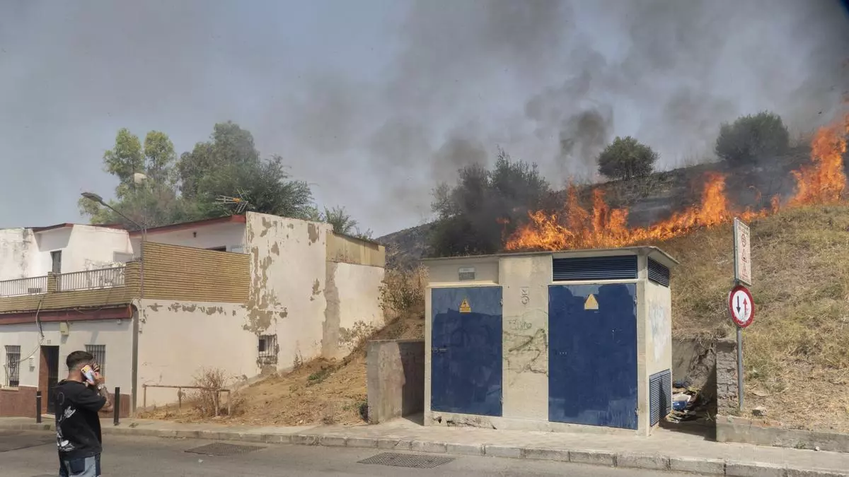 VÍDEO | Incendio en las inmediaciones del cerro del Carambolo, en Camas (Sevilla)