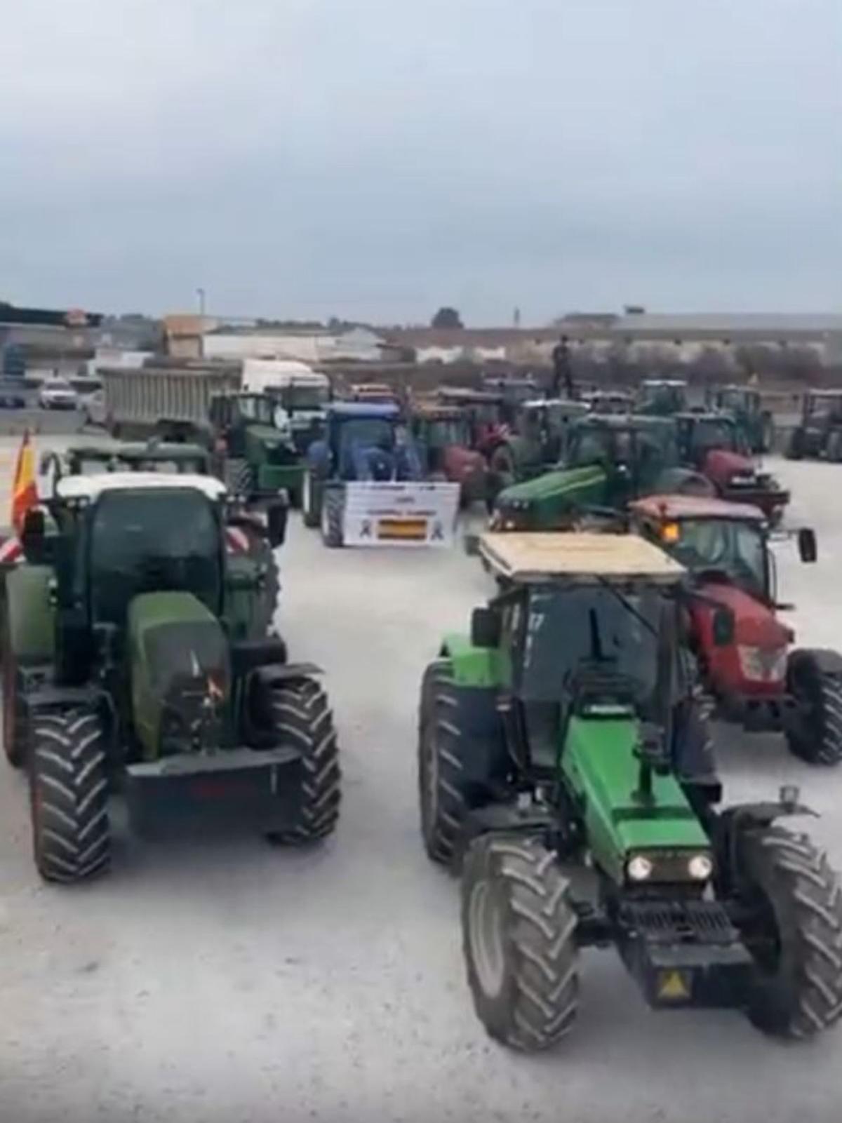 Se han movilizado cientos de tractores.  | SERVICIO ESPECIAL