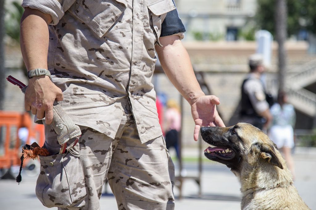 Día de las Fuerzas Armadas 2022 en Cartagena