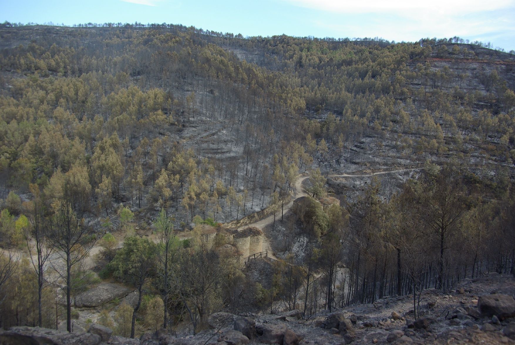 El foc envolta de cendra les tines de la Vall del Flequer