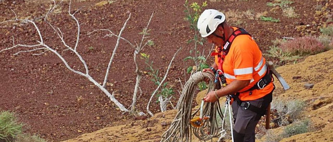 Trabajo de erradicación de la planta invasora.