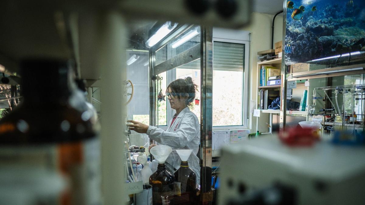 Una investigadora en un laboratori del IPNA-CSIC