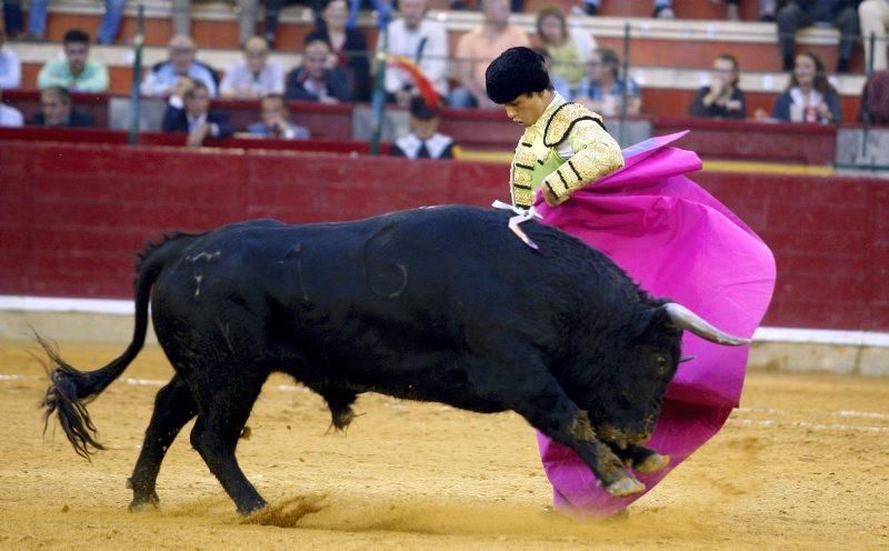 Novillada en la plaza de Toros