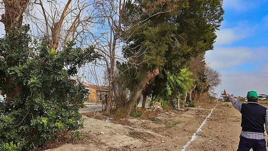 Trazado marcado con pintura blanca por donde seguirán las obras, con la destrucción de esos árboles.