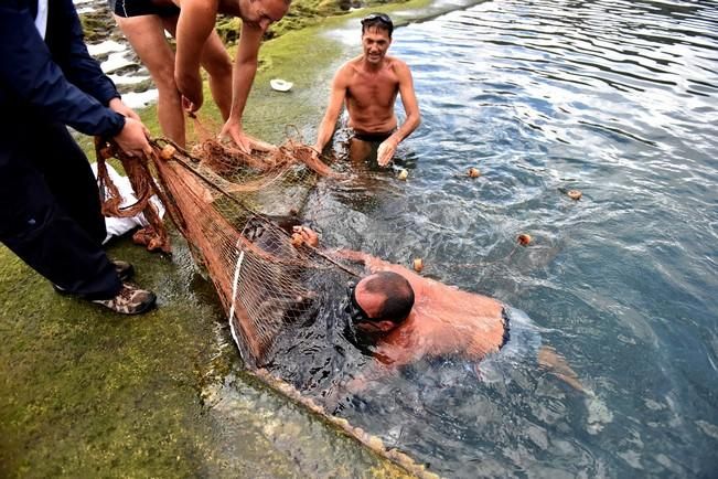 Rescatan a un chucho negro en las piscinas de La Laja