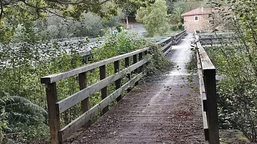 La mitad del puente que corresponde a Cruces está sin limpiar.