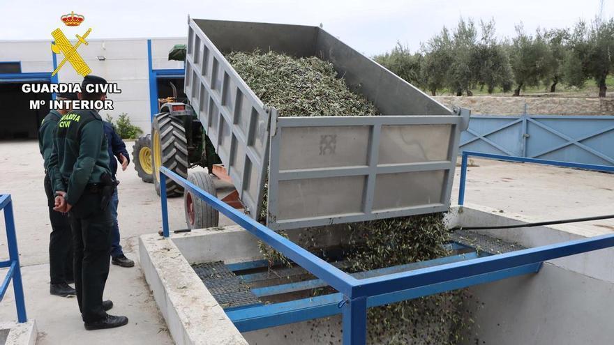La Guardia Civil detiene a tres vecinos de Baena por el hurto de 9.000 kilos de aceituna