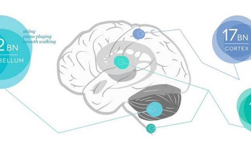 Juegos útiles para la ciencia