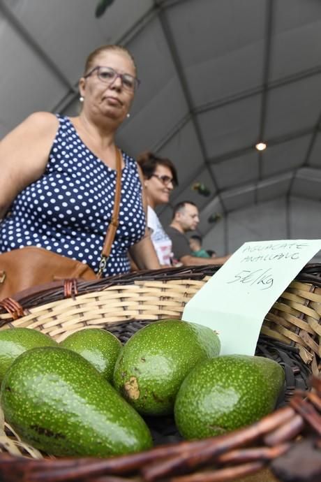 III FERIA DEL AGUACATE