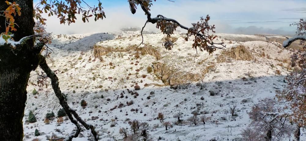 Primera nevada de la temporada en el Torrecilla.