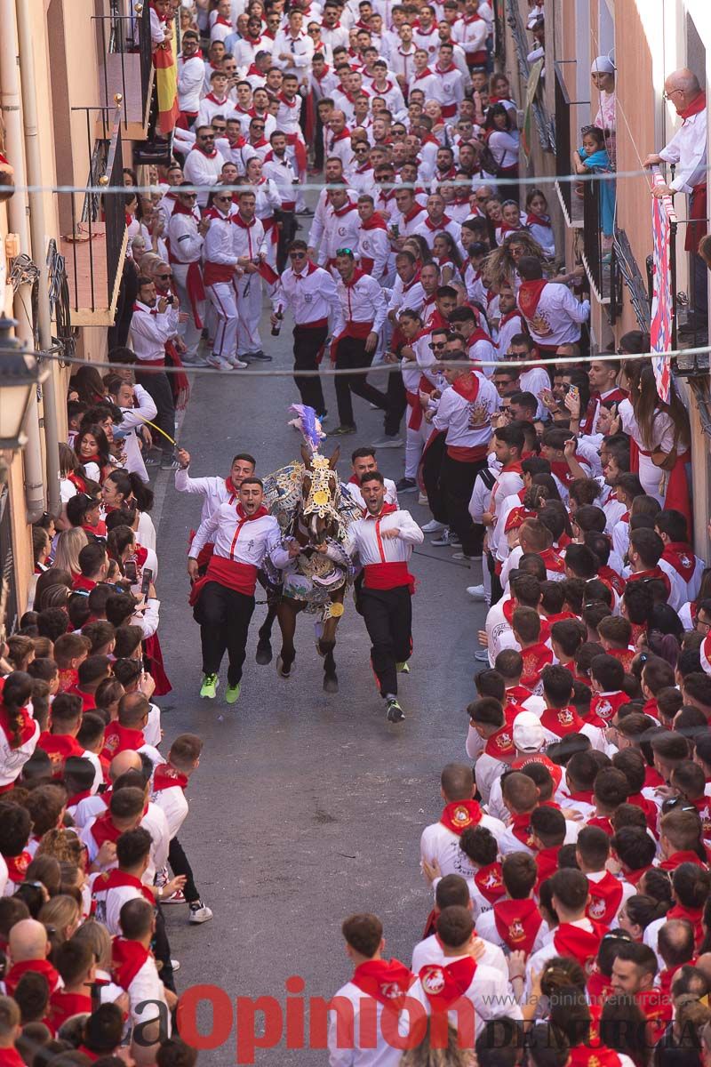 Caballos del Vino en la cuesta de la Simona