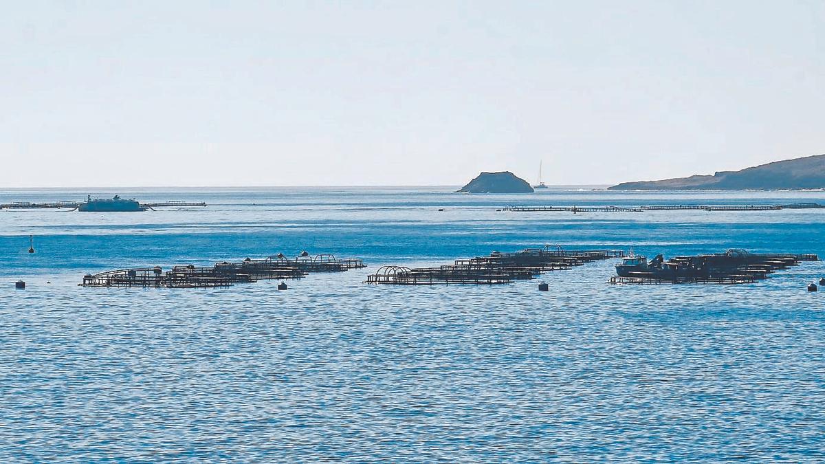 Jaulas de acuicultura frente a las costas de Salinetas.