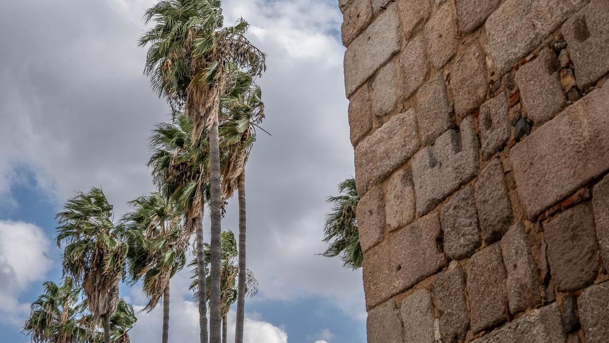 La capital extremña en alerta por fuertes vientos.