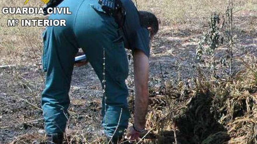 Un agente inspecciona el foco en el que se originó el incendio.