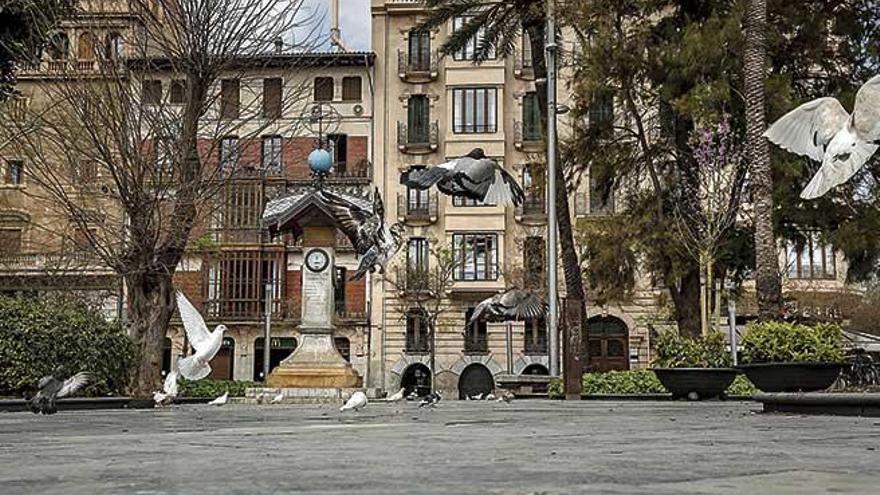 Unas palomas vuelan en la plaza de España de Palma, desierta tras la declaración del estado de alarma por el coronavirus.