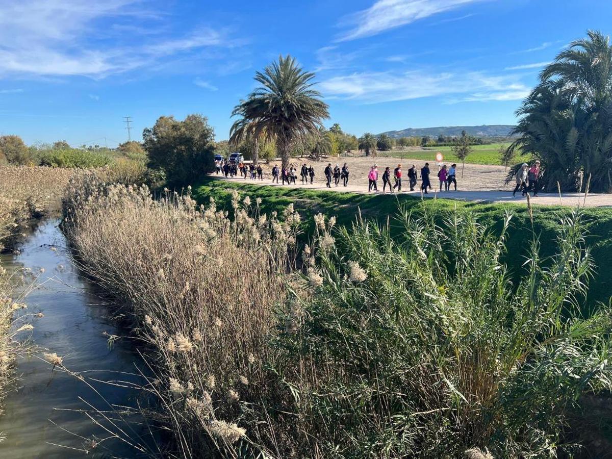 El Camino de Santiago en su tramo Torrevieja-Orihuela a su paso por la mota del río Segura en Jacarilla el pasado mes de noviembre