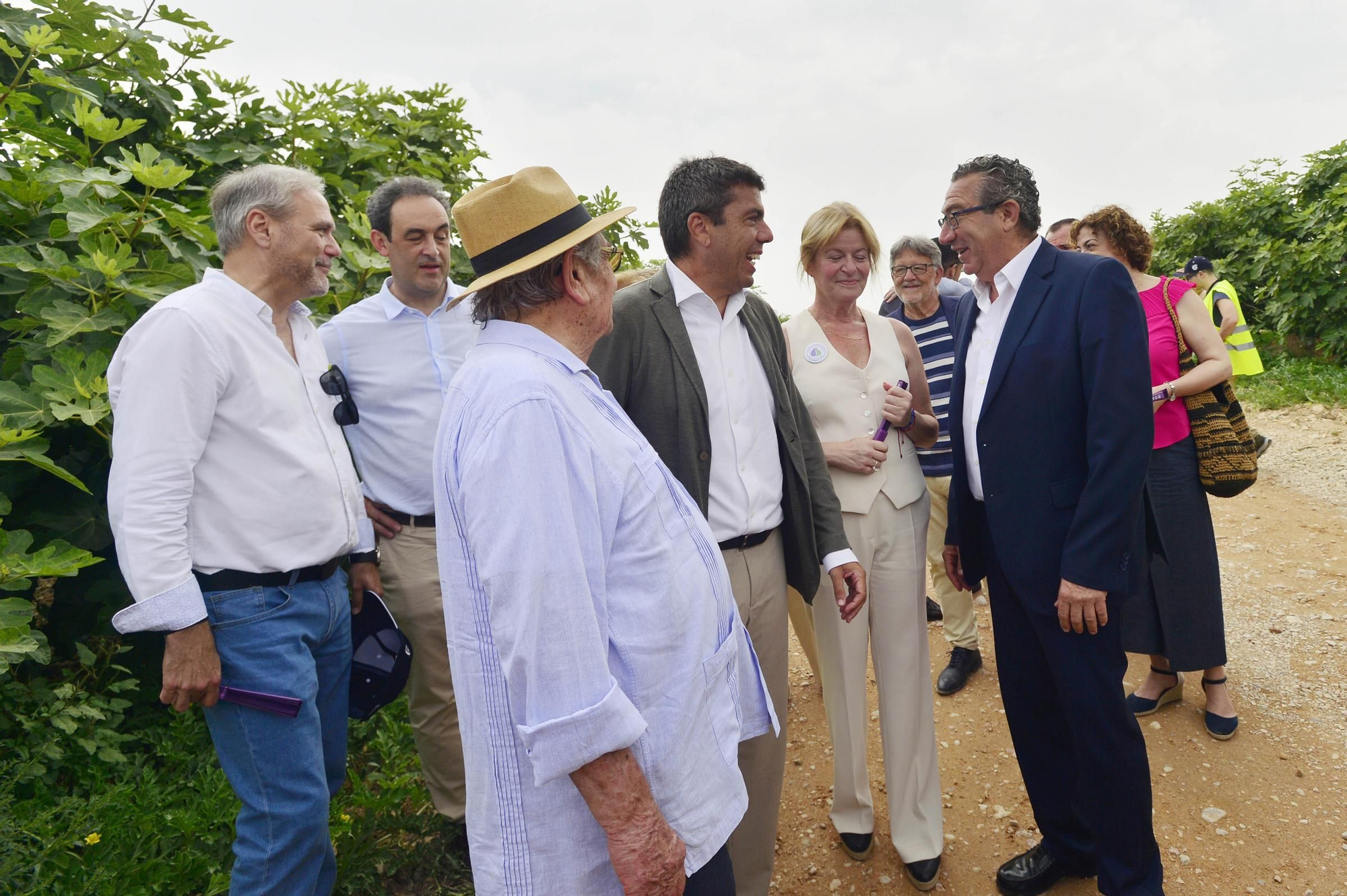 Acto simbólico del arranque de la campaña de breva colar de Albatera