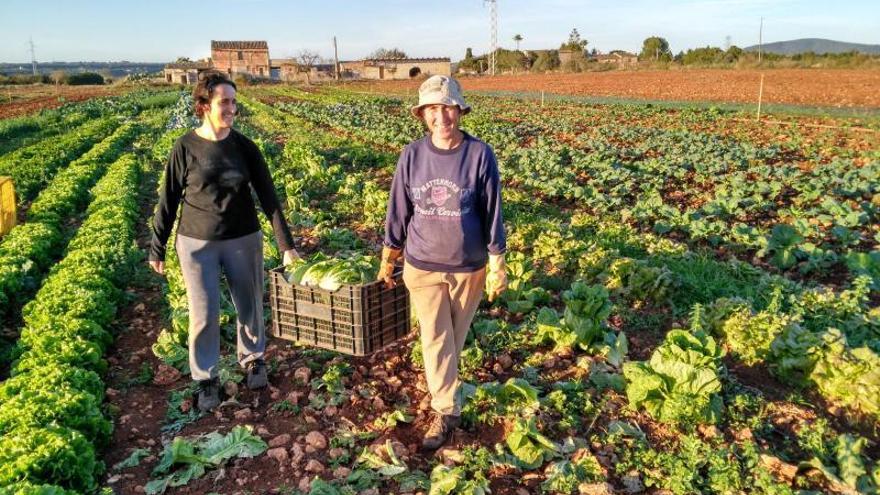 La agricultura ecológica apuesta por nuevos métodos de producción. | APAEMA