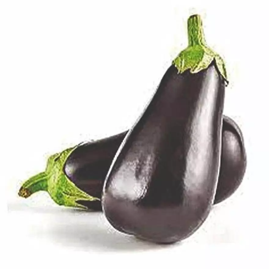 Berenjena negra ecológica