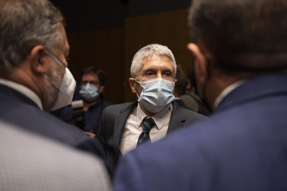El ministro del Interior, Fernando Grande-Marlaska.