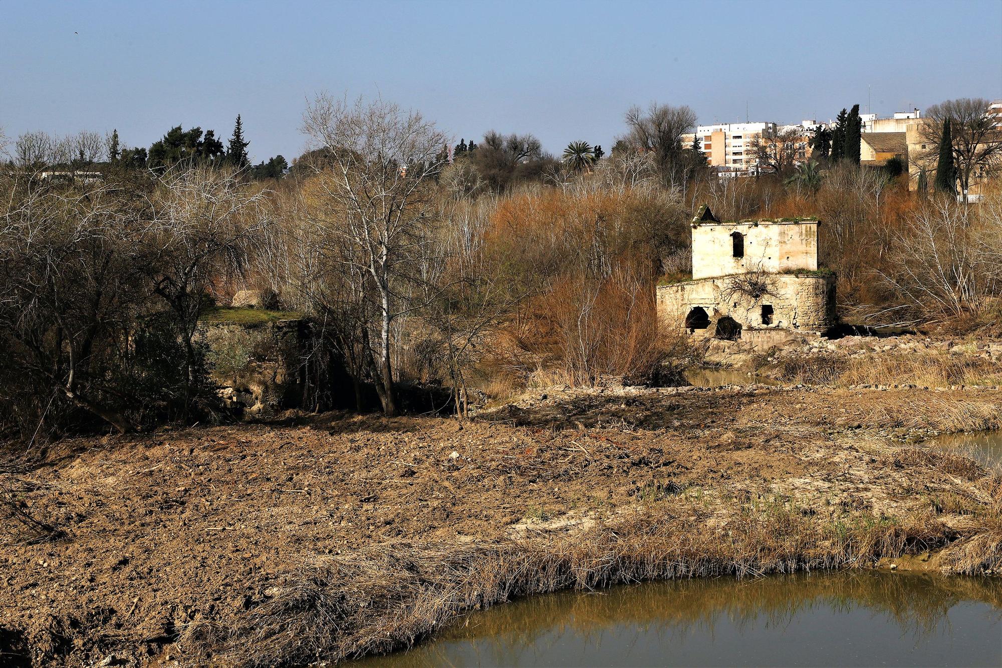 Molinos de Jesús y María y Pápalo en los sotos de la Albolafia