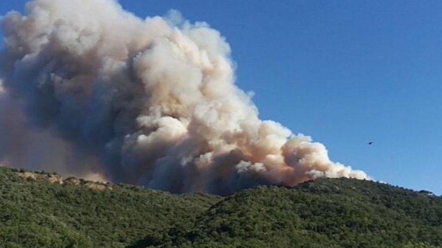 Foc al Rosselló