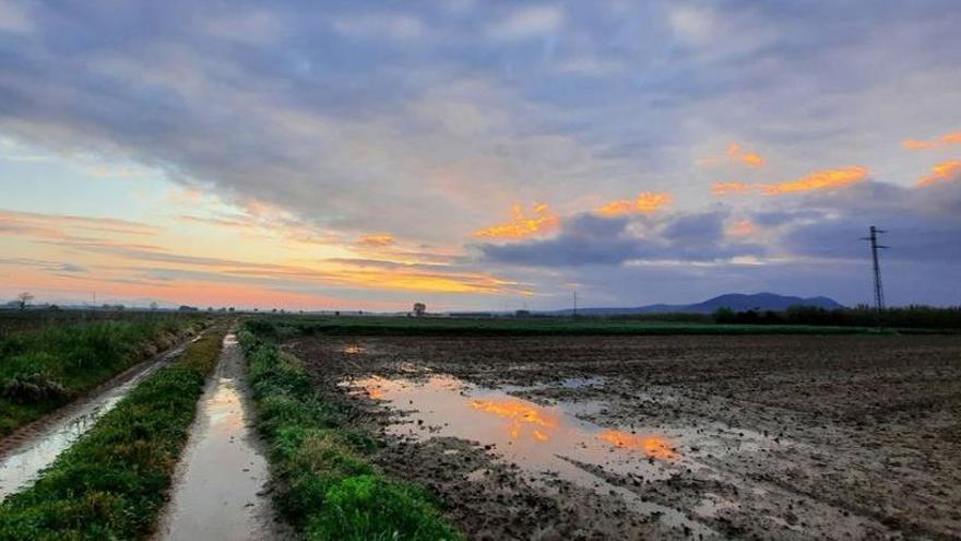 Els camps de Verges van quedar plens d&#039;aigua després dels ruixats