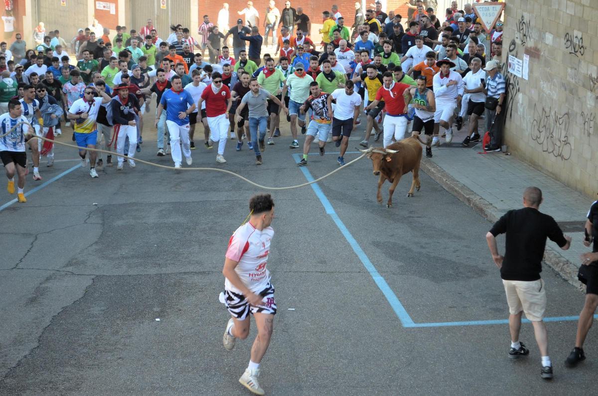 La carrera del Torito del Alba "Ganadora", de Benavente, en imágenes
