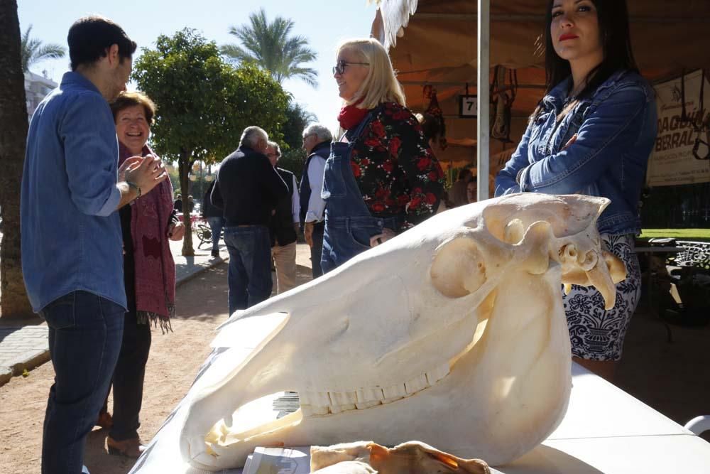 Fiesta de los oficios y tradiciones del caballo en Córdoba
