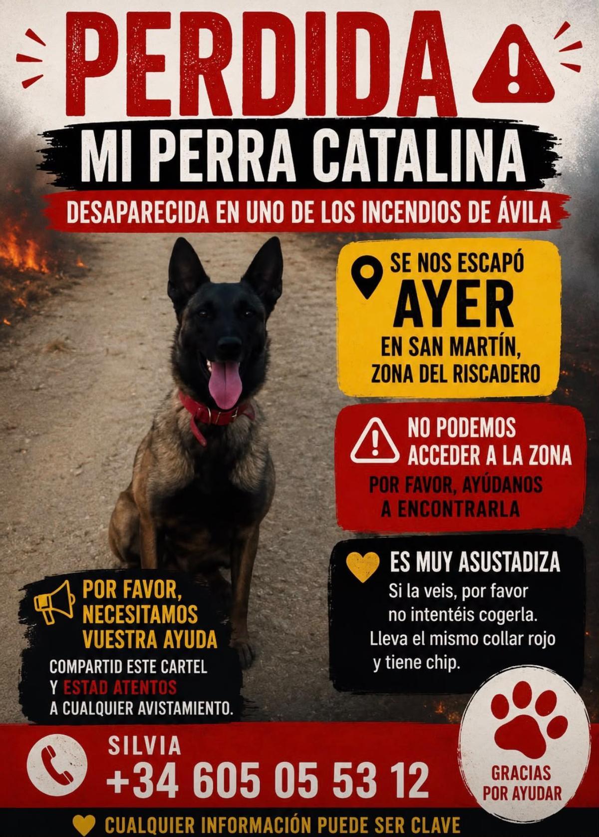 Cartel de Catalina