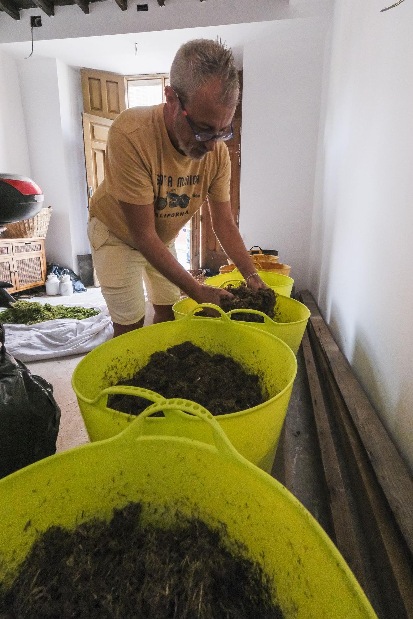 Autores de la primera alfombra de flores que tendrá la romería de las marías de Guía