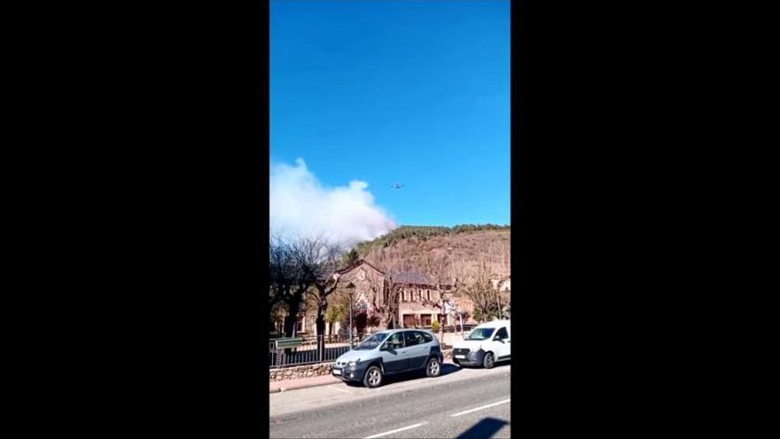 Incendi a una zona forestal de Montellà i Martinet