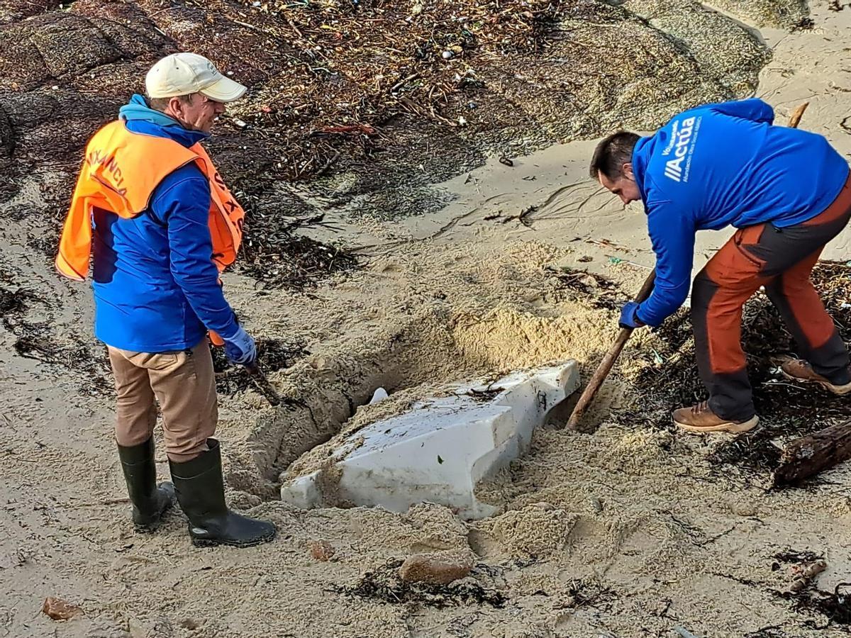En la limpieza llevada a cabo en uno de los arenales los voluntarios desenterraron una valla de obra.