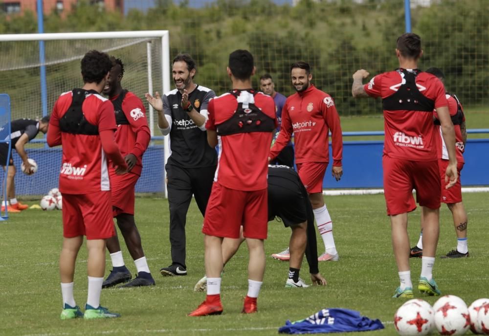 El Real Mallorca entrena en la ciudad deportiva del Alavés