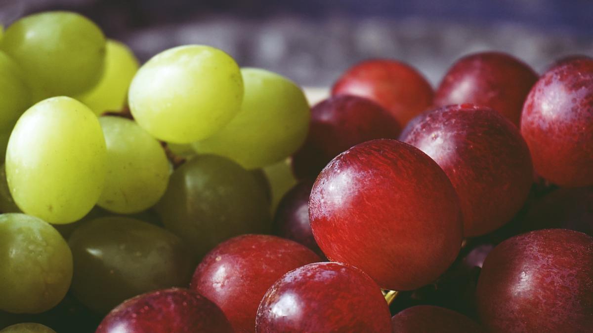 Las uvas pueden afectar a la salud de nuestro perro.