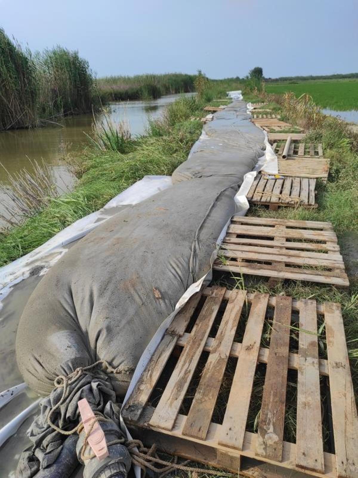 Colocación del dispositivo Medusa en el lago de l’Albufera   | MARTÍNEZ SEGADO