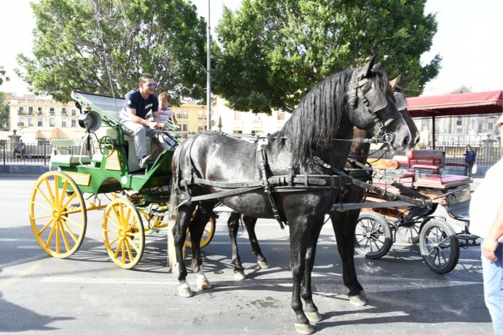 Ruta en carro al corazón de la Huerta