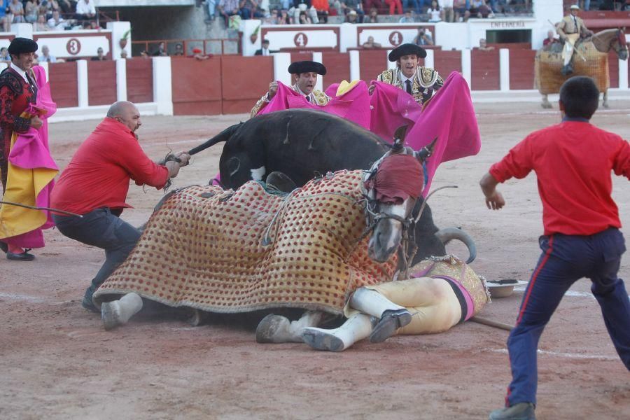 Toros en Zamora