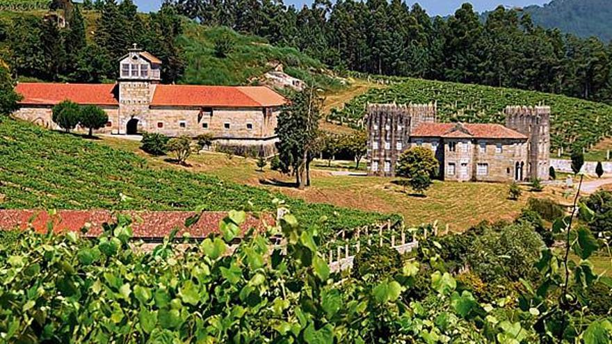 Los técnicos de campo de Condes de Albarei visitaron ayer el viñedo, para conocer su estado.