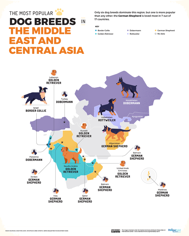perros, oriente medio y asia central