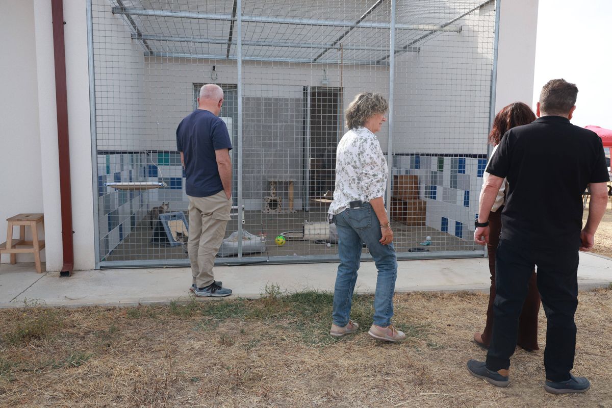 Fotogalería | Así es el nuevo albergue para animales de Cáceres