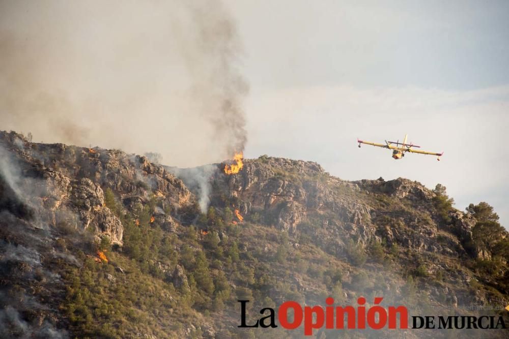 Incendio Sierra del Molino