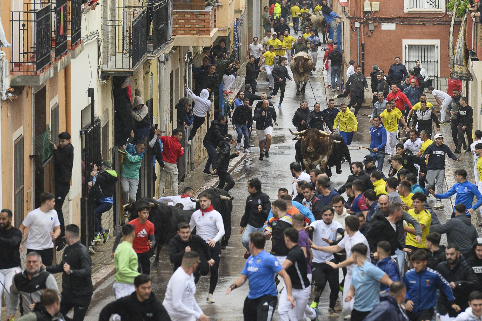 Velocidad y peligro en el histórico encierro de Victoriano del Río en la Vall d'Uixó