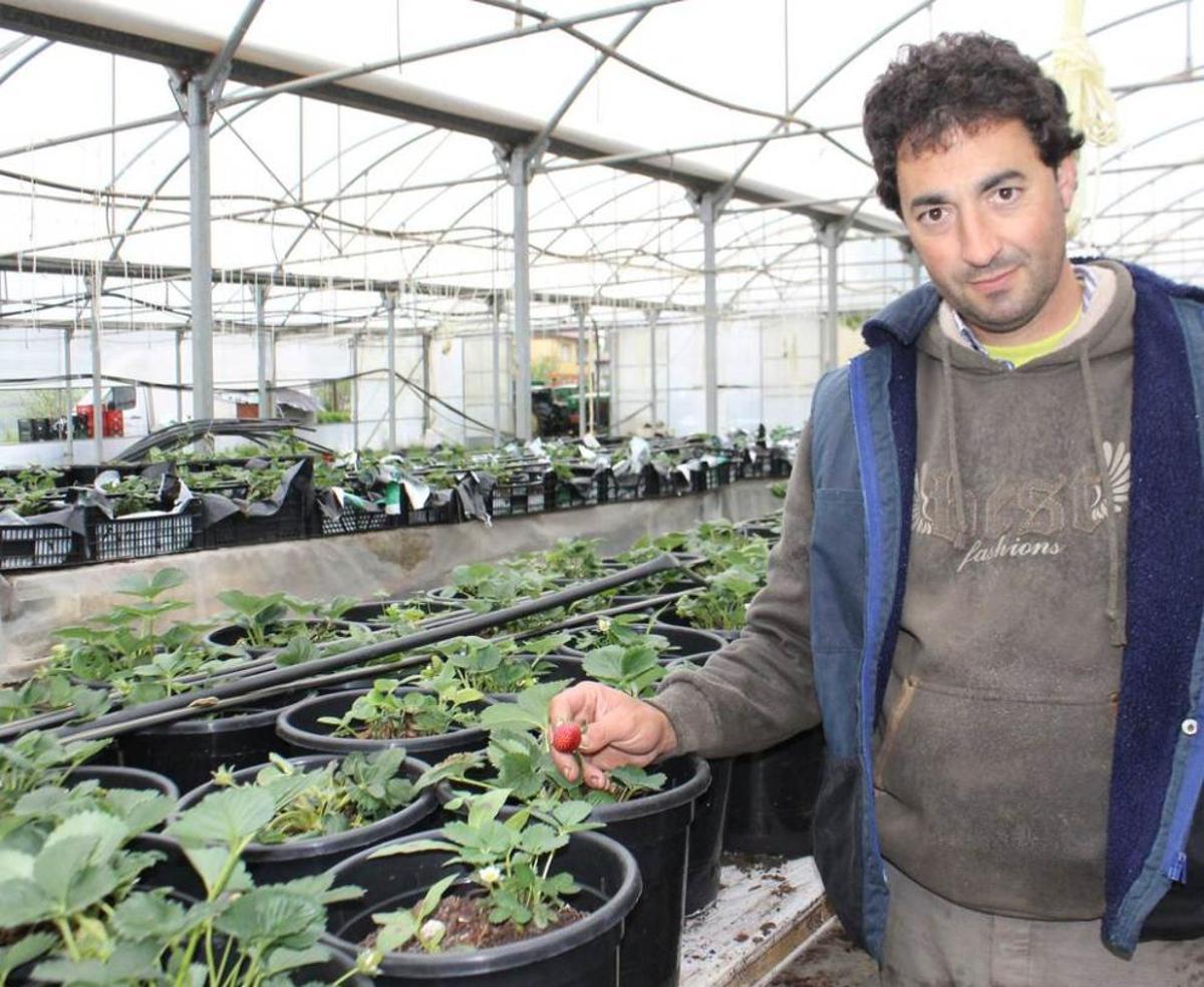 Asturias, paraíso frutero