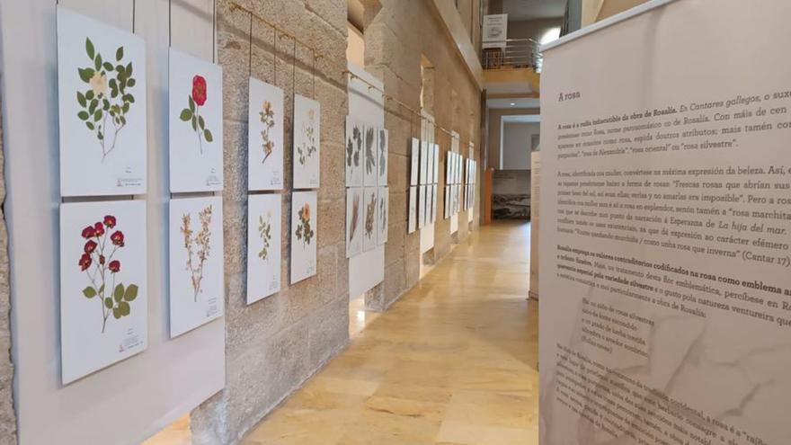 Algunas de las fotos presentes en la exposición.