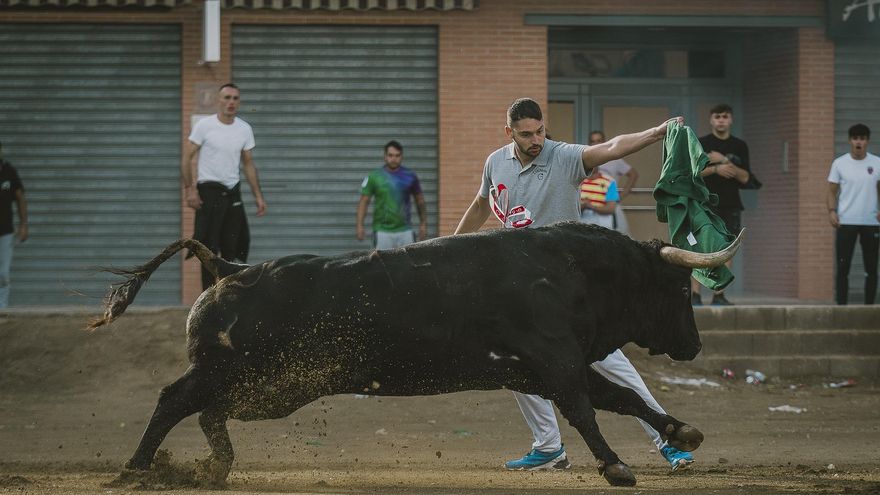 &#039;Vigilante&#039;, un toro de bandera en las calles de Llíria