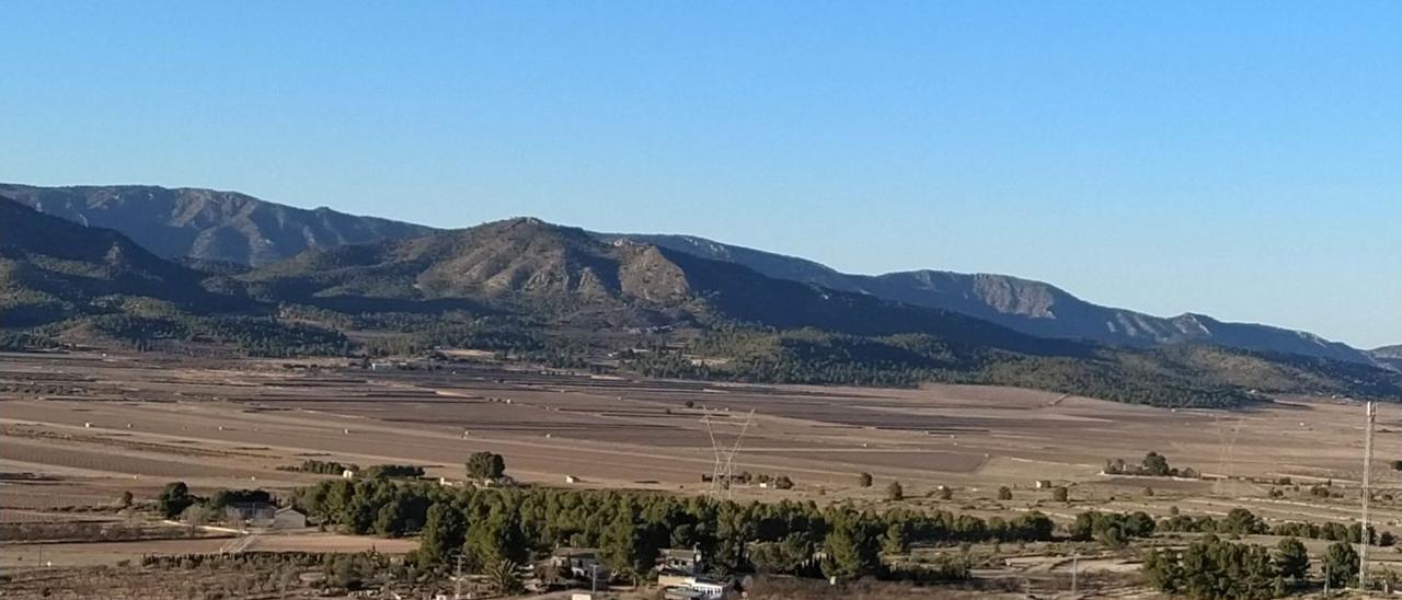 Paraje de los Altos de Don Pedro-Sierra de Salinas, en el término municipal de Monóvar, donde se ha planteado la construcción de una planta fotovoltaica. | RAFA JOVER